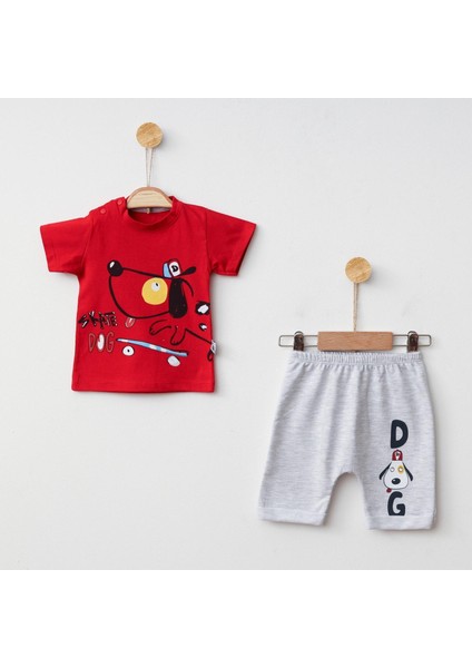 Köpekli Altüst Takım