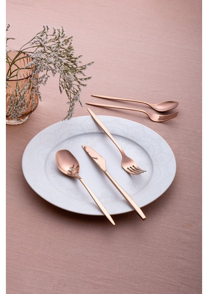 Luxury Alisa 30 Parça 6 Kişilik Parlak Bronz Kutulu Çatal Kaşık Bıçak Takımı 1 Adet modelleri