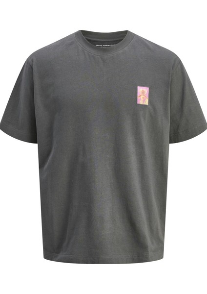Jcoınterlude Patch Tee Ss Crew Neck