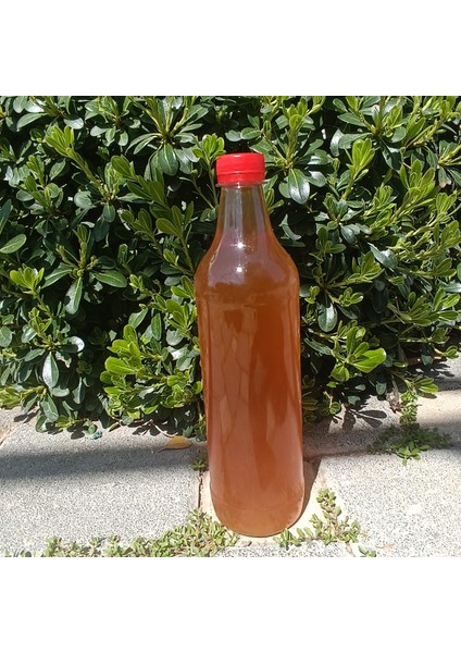 Elma Sirkesi fiyatları