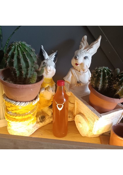 Elma Sirkesi fırsatları