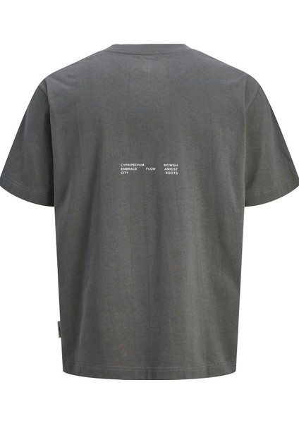 Jcoınterlude Patch Tee Ss Crew Neck