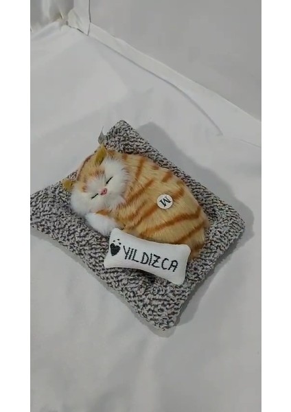 Luxury Ismini Belirlediğiniz Yatakta Uyuyan Sevdikçe Miyavlayan Dekoratif Peluş Oyuncak Kedi 1 Adet