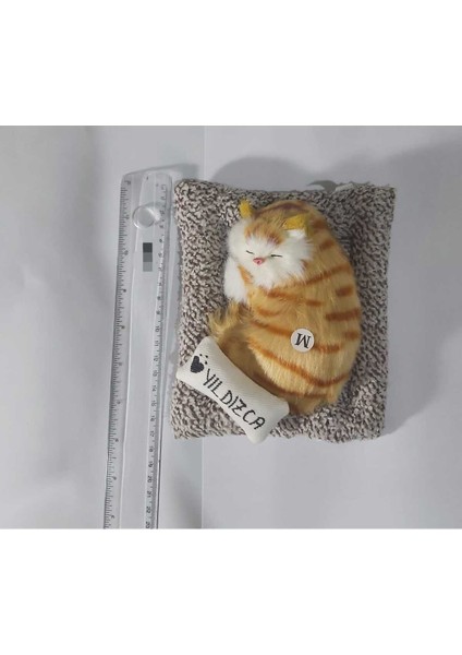 Luxury Ismini Belirlediğiniz Yatakta Uyuyan Sevdikçe Miyavlayan Dekoratif Peluş Oyuncak Kedi 1 Adet