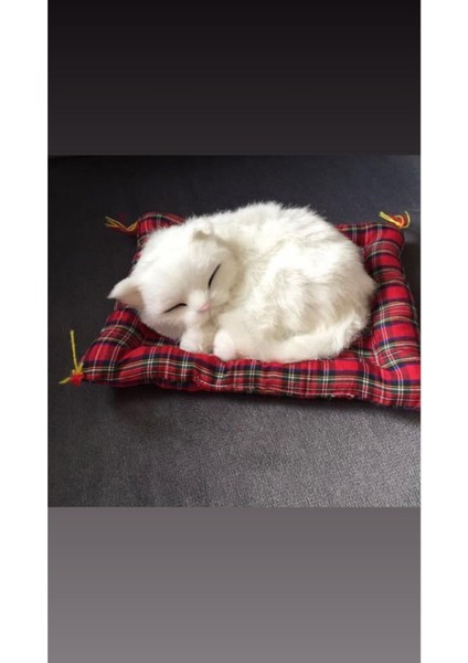Luxury Minderde Uyuyan Peluş Kedi Beyaz 1 Adet