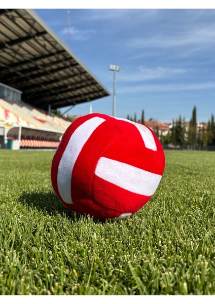 Luxury Renkli Peluş Voleybol Topu 1 Adet