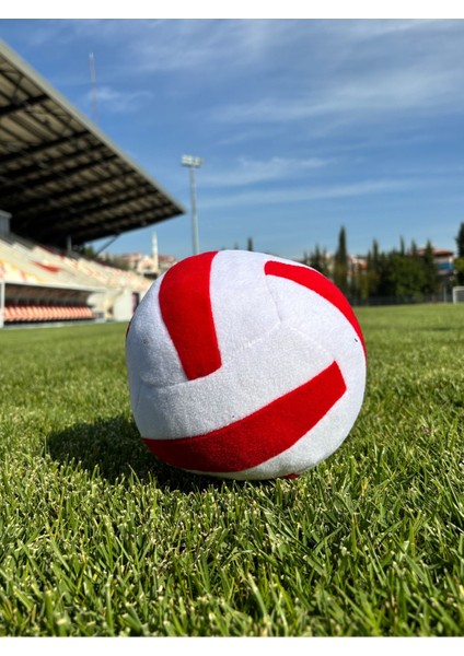 Luxury Renkli Peluş Voleybol Topu 1 Adet