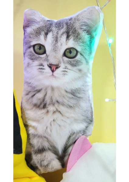 Luxury Peluş Kedi Yumuşak Oyuncak, Uyku Arkadaşım Pelus Kedi, Peluş Cat, Çocuk Genç Hediyelik Doğum Günü 1 Adet