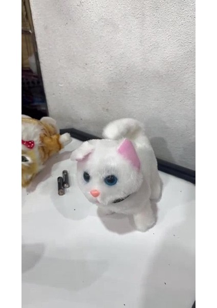 Luxury Miyavlayan Yürüyen Kuyruğunu Sallayan Peluş Kedi Oyuncak 1 Adet