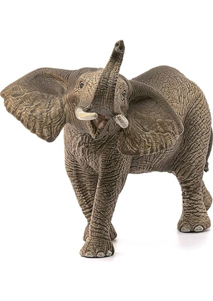 Luxury Schleich Erkek Afrika Fili 14762 1 Adet fiyatları