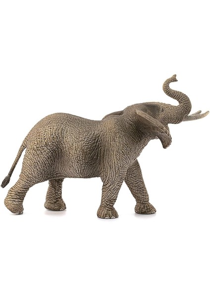 Luxury Schleich Erkek Afrika Fili 14762 1 Adet modelleri