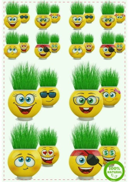 Luxury Çim Adam Orijinal 2ADET Lisanslı Eğlenceli Sevimli Ürün Emojili Çimoji Oyuncak Kız Erkek Oyuncaklar 1 Adet modelleri