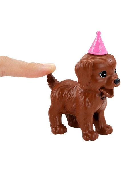Luxury Bebek ve Köpek Partisi Oyun Seti GXV75. 1 Adet fiyatları
