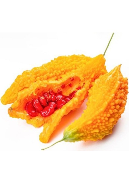 Ata Tohumları Geleneksel Doğal Kudret Narı Fidesi (10 Adet Fide)