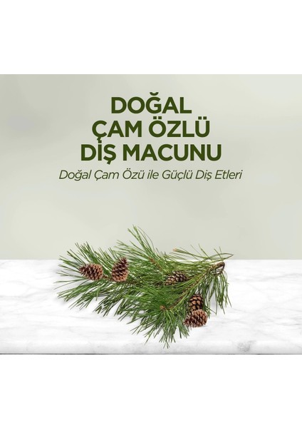 Doğal Diş Macunu 90 gr Çam Özlü