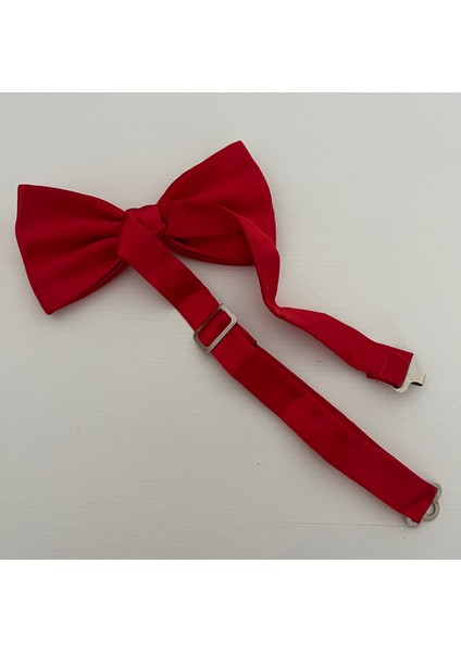Yetişkin Papyon 10 'lu Paket