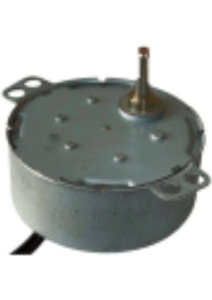 50 Tyz 10/12 Rpm Kuluçka Motoru Viyol Çevirme