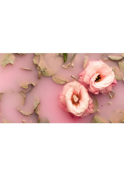 Harikabirev|soft Pembe Gül Çiçek Desenli Kombini |çerçeveli Temperli Cam Tablo 3lü Yatay modelleri