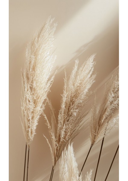 Harikabirev|soft Krem-Yeşil Yaprak Bitki Kombini |çerçeveli Temperli Cam Tablo 3lü Yatay fiyatları