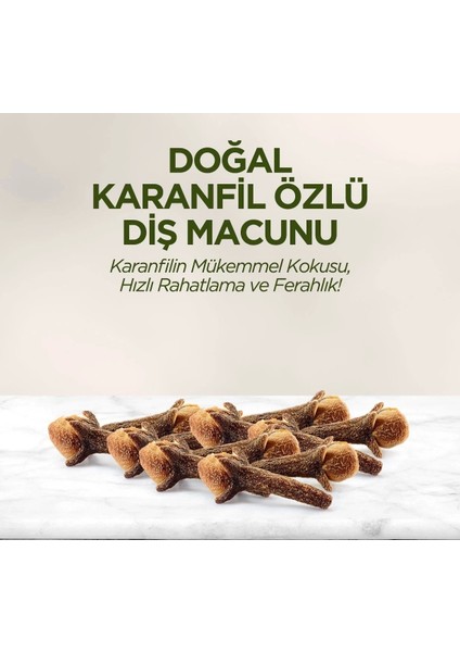 Doğal Diş Macunu 90 gr Karanfil