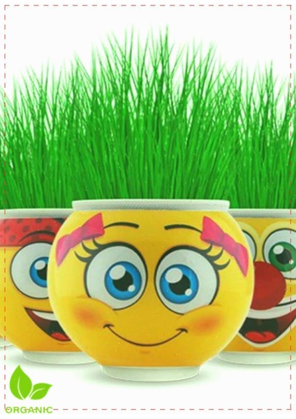 Luxury Emoji Çim Adam 5 Adet Kız Erkek Cocuk Egitici Montessori Oyuncaklar 1 Adet
