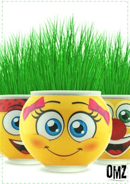 Luxury Emoji Çim Adam 5 Adet Kız Erkek Cocuk Egitici Montessori Oyuncaklar 1 Adet