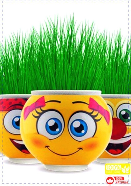 Luxury Emoji Çim Adam 5 Adet Kız Erkek Cocuk Egitici Montessori Oyuncaklar 1 Adet