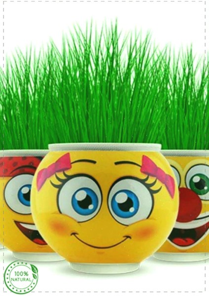 Luxury Emoji Çim Adam 5 Adet Kız Erkek Cocuk Egitici Montessori Oyuncaklar 1 Adet