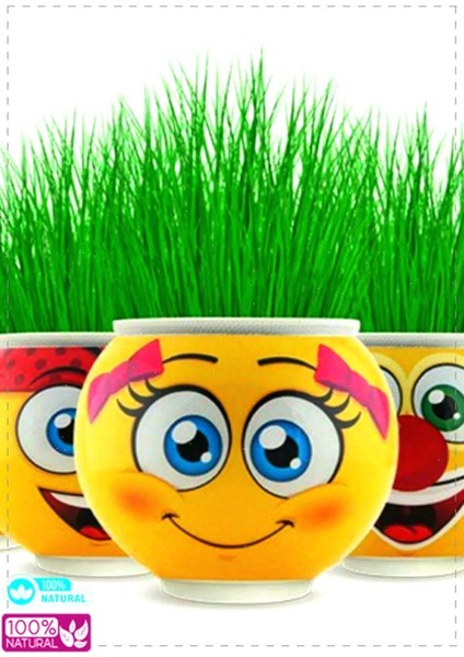 Luxury Emoji Çim Adam 5 Adet Kız Erkek Cocuk Egitici Montessori Oyuncaklar 1 Adet