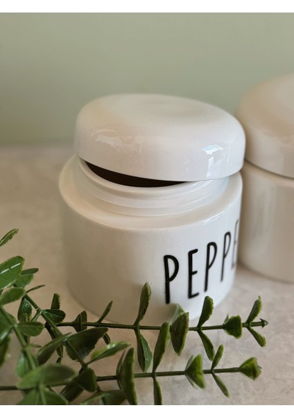 Luxury 3'lü Porselen Salt-Pepper-Sugar Kavanoz Baharatlık Seti 1 Adet indirimleri