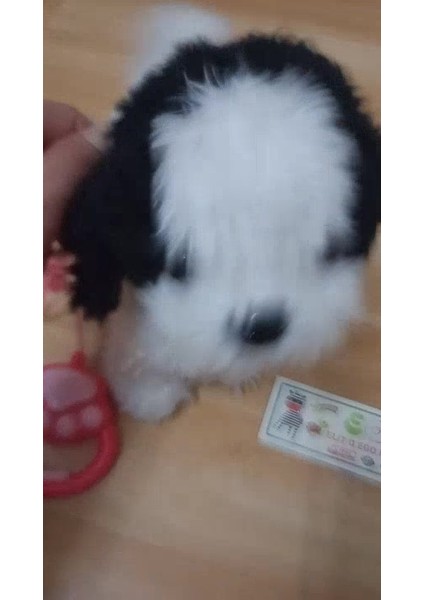 Luxury Şarkı Söyleyen, Yürüyen, Tasmalı Akıllı Peluş Köpek 1 Adet