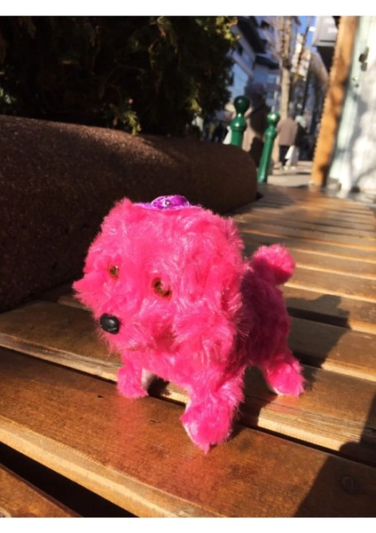 Luxury Havlayan, Yürüyen Pilli Oyuncak Peluş Köpek 1 Adet