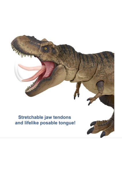 Luxury Jurassis World Yetişkin Koleksiyon T-Rex Figürü HFG66 1 Adet