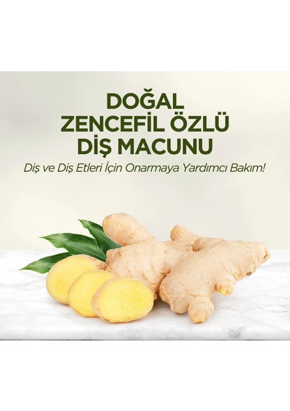 Doğal Diş Macunu 90 gr Zencefil Özlü