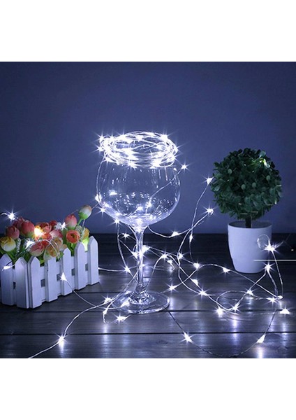 Pilli 5 Metre Dekoratif Peri LED Beyaz Aydınlatma Süsleme Lambası (4887)
