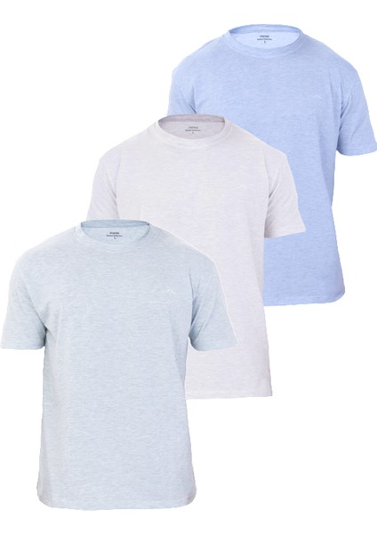 Erkek Melanj Tshirt 3'lü