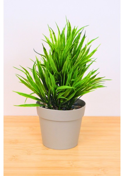 Dekoratif Saksılı Yapay Sazlı Çiçek Bej 22 cm EVA-5823 C1-1-423