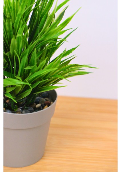 Dekoratif Saksılı Yapay Sazlı Çiçek Bej 22 cm EVA-5823 C1-1-423 fiyatları