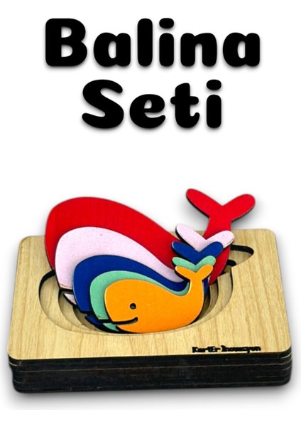 Katmanli Puzzle 4lü Egitici Tak-Cikar Set Montesorri Set Puzzle Egitici Oyuncak 4lü Set,