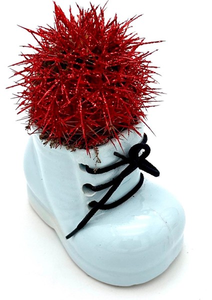 Seramik Ayakkabı Figürlü Saksı-Renkli Kaktüs-Dekoratif Obje