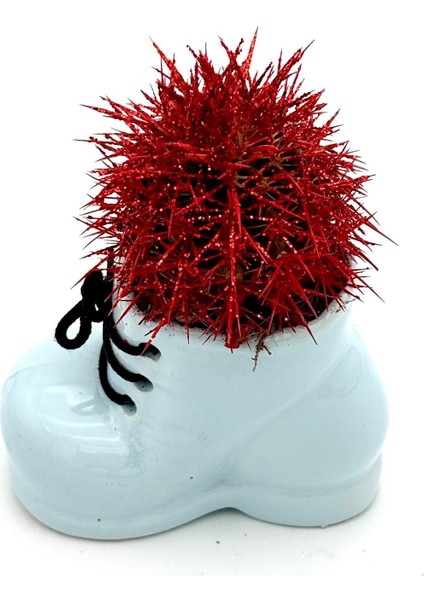 Seramik Ayakkabı Figürlü Saksı-Renkli Kaktüs-Dekoratif Obje fiyatları