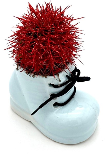 Seramik Ayakkabı Figürlü Saksı-Renkli Kaktüs-Dekoratif Obje modelleri