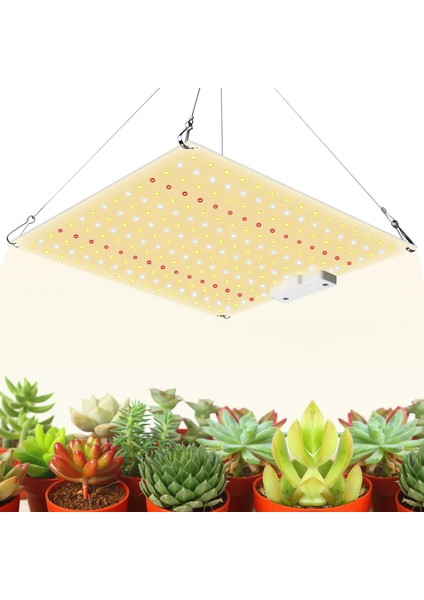 1000W Watt Tabaş Rohs FRGDGL-0030 LED Bitki Yetiştirme Büyüme Işığı Paneli Tam Spektrum LED Lamba Kapalı Bitki Sebze Çiçek Gün Işığı 30CM x 25CM Kırmızı Mavi Sarı Işık