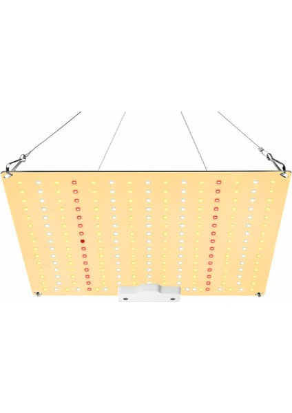 1000W Watt Tabaş Rohs FRGDGL-0030 LED Bitki Yetiştirme Büyüme Işığı Paneli Tam Spektrum LED Lamba Kapalı Bitki Sebze Çiçek Gün Işığı 30CM x 25CM Kırmızı Mavi Sarı Işık indirimleri