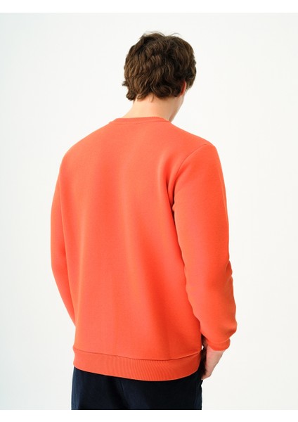 Regular Fit Erkek Sweatshirt