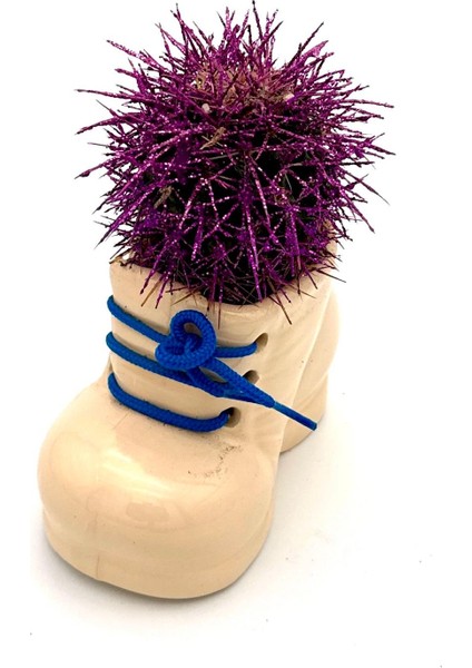 Seramik Ayakkabı Figürlü Saksı-Renkli Kaktüs- Dekoratif Obje