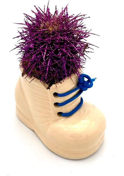 Seramik Ayakkabı Figürlü Saksı-Renkli Kaktüs- Dekoratif Obje fiyatları