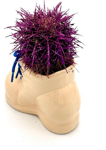 Seramik Ayakkabı Figürlü Saksı-Renkli Kaktüs- Dekoratif Obje fırsatları