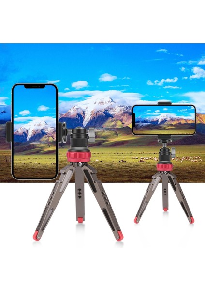 Puluz 360 Panorama Alüminyum Alaşımlı Tripod Top Başlı Adaptör Düğmeli Kilitli 1/4 Inç Tutucu Montajı Dslr Kameralar Aksesuarları Için (Yurt Dışından)