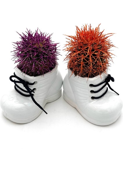 2li Seramik Ayakkabı Figürlü Saksı-Renkli Kaktüs- Dekoratif Obje